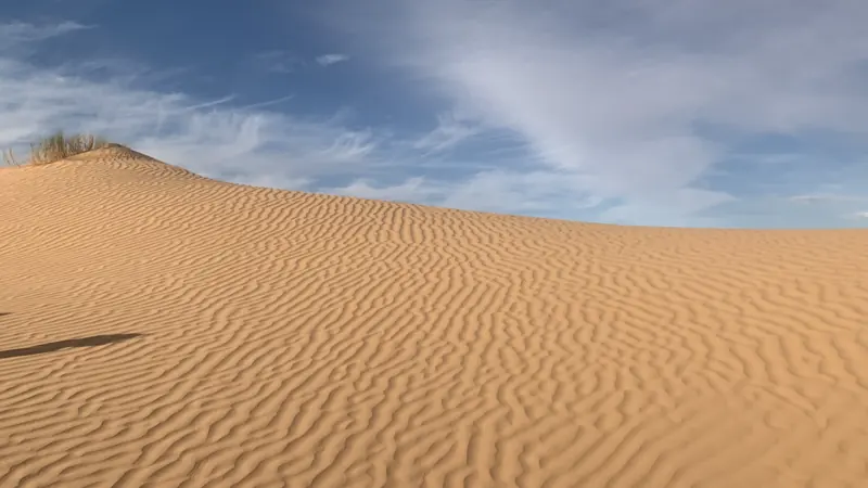 Dunes of the Grand Erg Oriental in southern Tunisia