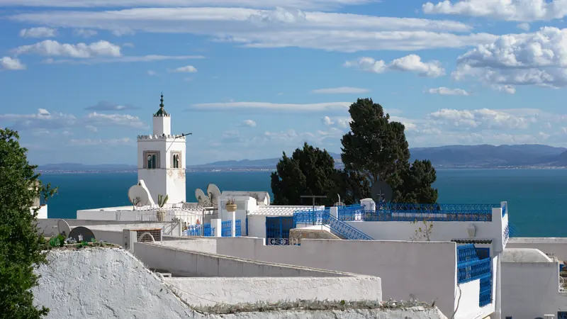 Blue-and-white houses in the village of Sidi Bou Saïd