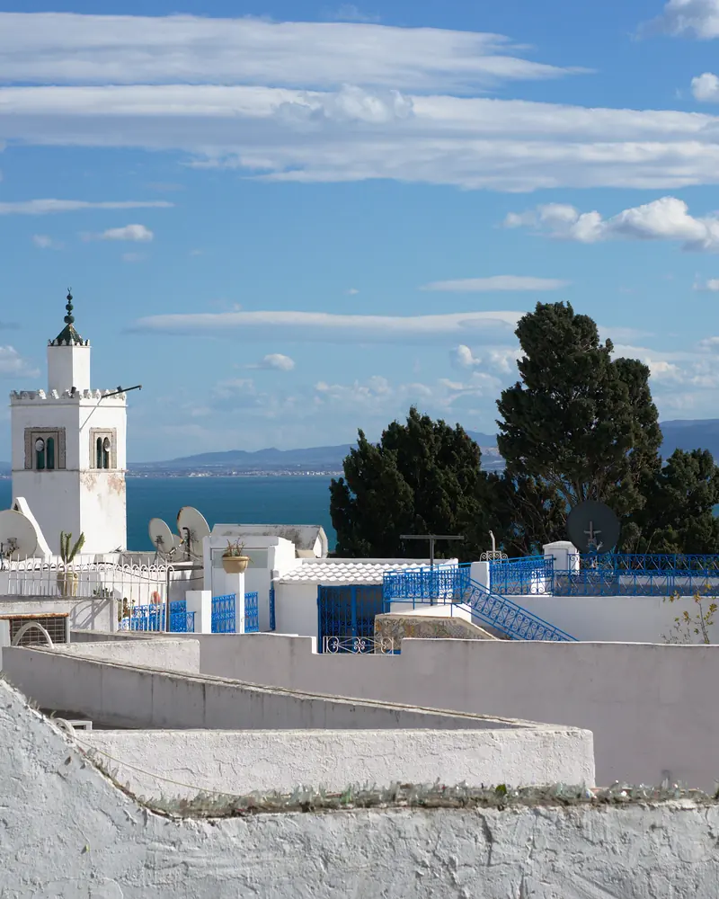 Białe domy z niebieskimi okiennicami i bugenwillą w Sidi Bou Saïd