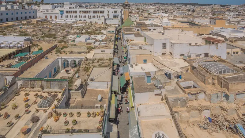 Rooftops and minarets of the medina of Tunis